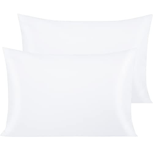NTBAY Egyptian Cotton Queen Pillowcases - Set of 2, 500 Thread Count Cotton Pillowcases - Soft and Breathable Envelope Closure Pillow Cases - 20x30 Pillow Covers for Bed, White
