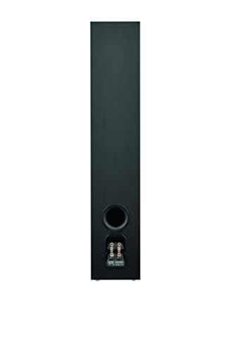 Bowers & Wilkins 603 S2 Anniversary Edition Floorstanding Speaker - Features Decoupled Double Dome Aluminum Tweeter, Continuum Cone FST Midrange, Dual Paper Cone Woofers, Includes Grille, Black 8