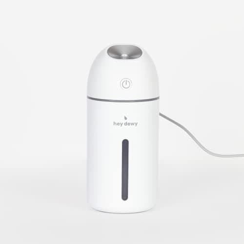 Hey Dewy Portable Facial Hydrating Cool Mist Humidifier (USB Wired Version)