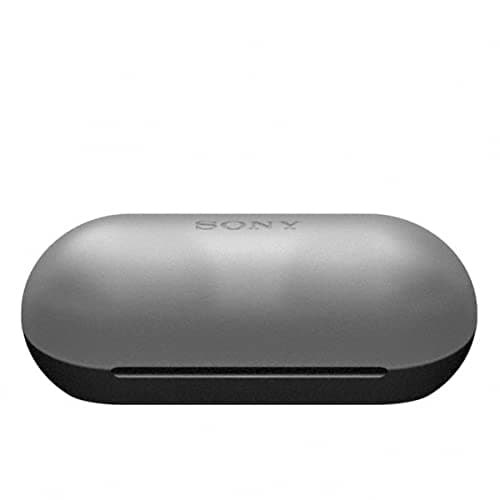 Sony WF-C500 Truly Wireless In-Ear Bluetooth Earbud Headphones with Mic and IPX4 water resistance, Black 5