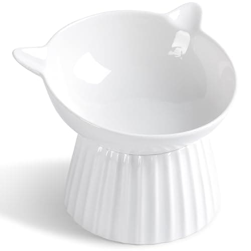 Wellbro Ceramic Raised Cat Bowl，Tilted Raised Cat Bowl Anti Vomit Cat Bowls for Indoor Cats Whisker Friendly Pet Feeder for Cats Puppies, Microwave and Dishwasher Safe