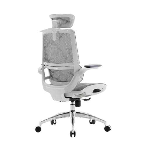 SIHOO M59AS Ergonomic Office Chair, Desk Chair with 3D Flip-up Armrests, Computer Chair with Dual Back Design and Adaptive Dynamic Lumbar Support 9