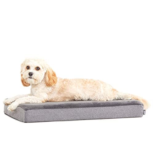 Barkbox Orthopedic Dog Bed with Memory Foam, Premium Comfort for Dogs and Puppies, Dog Bed for Joint Relief and Restful Sleep, Durable and Easy to Clean - Grey, Small