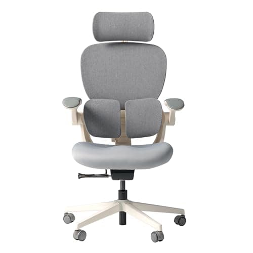 HINOMI Q2 Ergonomic Office Chair with Lumbar Support & Adjustable Headrest, Cushion Seat with Flip-Up Arms, Reclining Computer Seating with Footrest, Stylish Desk Model for Home (Gray)