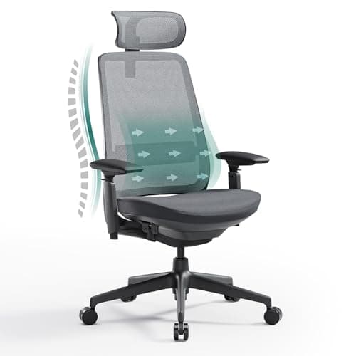 COLAMY Ergonomic Mesh Office Chair with Lumbar Support, High Back Office Chair for Home and Office (Black Gray)