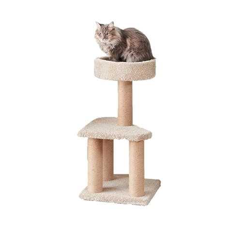 Amazon Basics Cat Tree - Multi-Level Climbing Activity Tower with Jute Rope Scratching Posts for Indoor Cats & Kittens, Medium (31.5"H), Beige