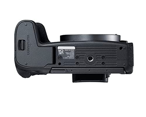 Canon EOS R8 Mirrorless Camera Body, Full‑Frame CMOS Sensor, 24.2 Megapixels, 4K 60p Video, Dual Pixel Autofocus II, Lightweight Camera for Content Creation, Photography and Vlogging, Black 7