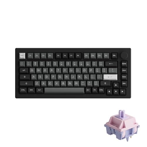 Akko 5075B Plus Silent Mechanical Keyboard 75% Percent RGB Hot-swappable Creamy Keyboard with Knob, Black & Silver Theme with PBT Double Shot ASA Profile Keycaps Fairy Switch