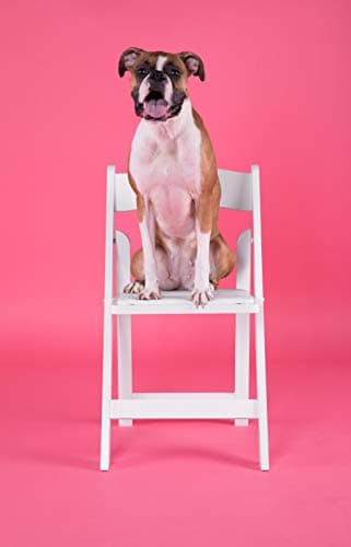 Flash Furniture Hercules™ Series Folding Chair - White Resin - 1000LB Weight Capacity Comfortable Event Chair - Light Weight Folding Chair 18