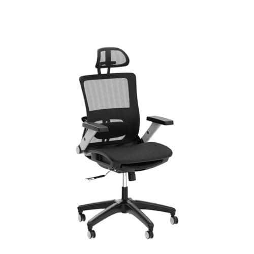 COLAMY Ergonomic Mesh Office Chair with Footrest, High Back Computer Executive Desk Chair with Headrest and 4D Flip-up Armrests, Adjustable Tilt Lock and Lumbar Support-Black 6