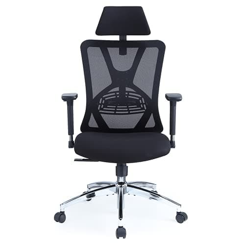 Ticova Ergonomic Office Chair - High Back Desk Chair with Adjustable Lumbar Support, Headrest & 3D Metal Armrest