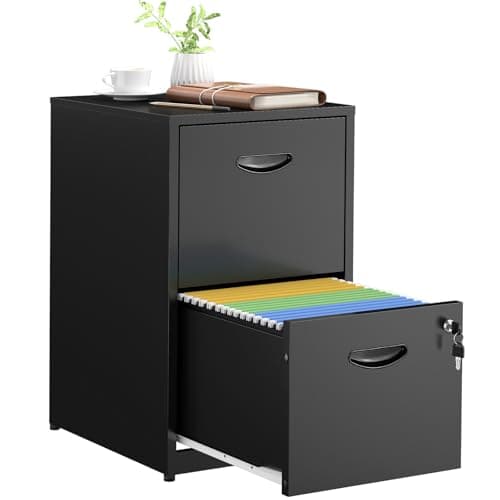 SteeLoong 2 Drawer File Cabinets,Metal Office File Cabinet with Lock,Black Filing Cabinets for Home Office,Vertical Modern File Cabinet Office Two Drawers for Hanging Letter,Assembly Required
