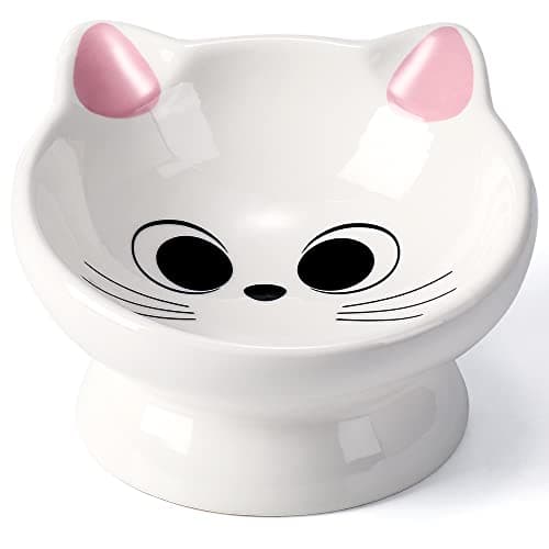Raised Cat Food Bowl Ceramic 15° Tilted Cat Food Bowls Protect Cat's Spine Anti Vomiting Backflow Prevention Bowls for Adult Kitty, Kitten, and Small Dogs, Pink