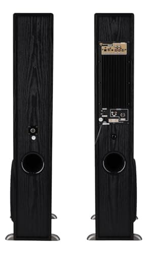 Rockville TM150B Powered Home Theater Tower Speaker System, Black, 1000W, 10" Subwoofers, Bluetooth, USB/SD Playback, FM Radio, Remote Control, Karaoke Ready, Perfect for Home Entertainment 5