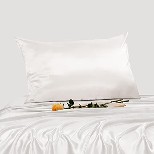 PROMEED 100% 25 Momme Silk Pillowcase Queen Size, Both Sides Highest Grade 6A+ Mulberry Silk Pillow Case Cover for Hair and Skin (Queen 20"x30", White)