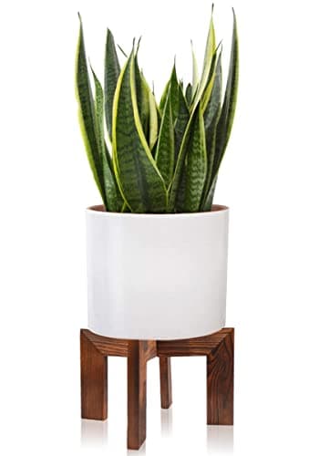 Gendral Forwepup Wood Plant Stand, Mid Century Modern Planter, Rattan Flower Pot Stand, Low Short Plant Stands for Indoor - Boho Rustic Wooden Stool for Plant Pot Holder, Fit 5-15 Inch Pot