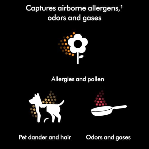 Dyson Hushjet Compact Purifier, Engineered for Powerful, Whisper-quiet, Whole-room Air Purification, Homes with Pets, Allergies, Fully-sealed filtration, 5-year no change filter (Black/Teal) 7