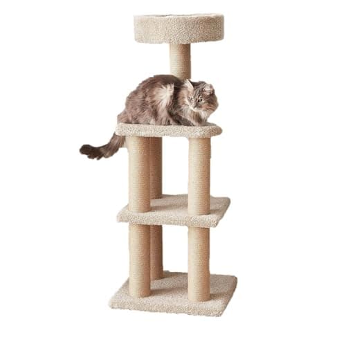 Amazon Basics Cat Tree Tower - Multi-Level Climbing Activity Center for Indoor Cats & Kittens with Scratching Posts, Platform, Jute Rope, Large (45.9"H), Beige