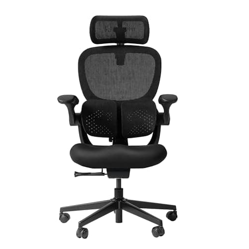 HINOMI Q2 Ergonomic Office Chair with Lumbar Support & Adjustable Headrest, Cushion Seat with Flip-Up Arms, Reclining Computer Seating with Footrest, Stylish Desk Model for Home (Black)