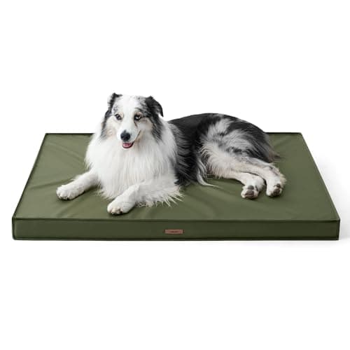 LE SURE Outdoor Waterproof Dog Beds Large Sized Dog, Orthopedic Egg Crate Foam Pet Bed with Oxford Fabric Surface and Removable Washable Cover, Pet Mat 36''x27'', Green