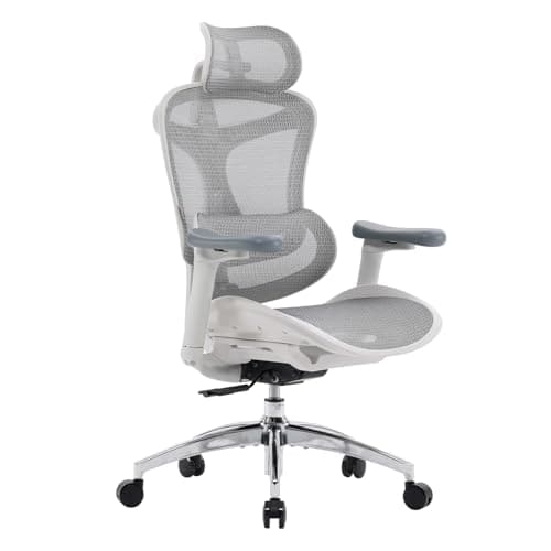 SIHOO Doro C300 Ergonomic Office Chair with Ultra Soft 3D Armrests, Dynamic Lumbar Support for Home Office Chair, Adjustable Backrest Desk Chair, Swivel Big and Tall Computer Chair (Grey)