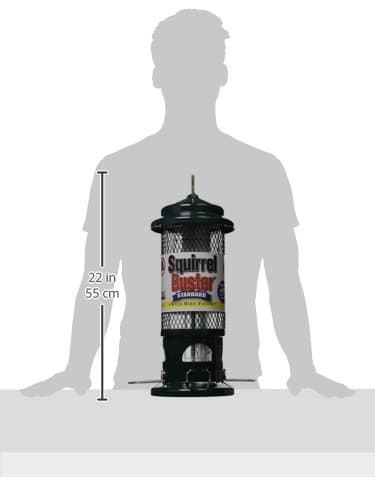 Squirrel Buster Standard Squirrel-proof Bird Feeder w/4 Metal Perches, 1.3-pound Seed Capacity, garden green 6