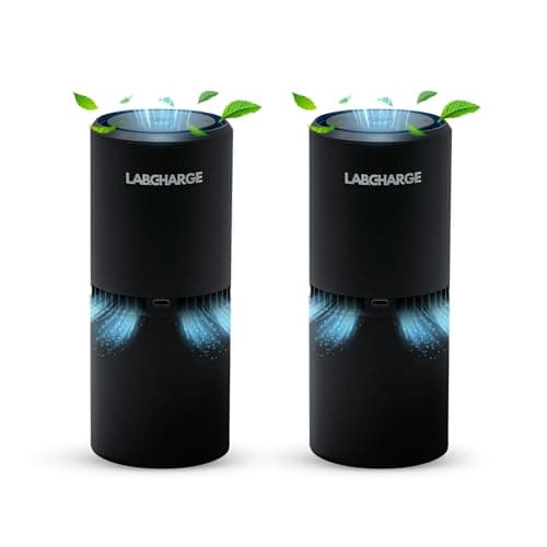 LabCharge Small Ionic Air Purifier for Home & Bedroom – Silent HEPA Filter – Covers 250 Sq Ft - Free Cleaner for Pets, Hair, Smoke, Dust, Odors & Dander – Compact & Black Design - Pack of 2