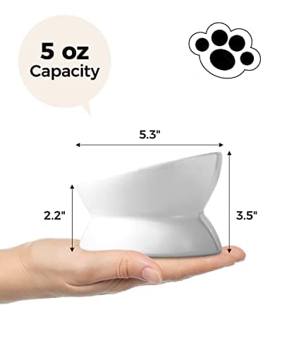 LoeJan Elevated Cat Food Bowl, 5 Oz Ceramic Raised and Tilted Water Bowl, Anti Vomiting and Protect Pets' Spines Dishes for Small Dog, Fat Faced Cat, Kitten (White, 1 Pack) 6