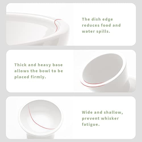 CEEFU Extra Wide Elevated Ceramic Cat Bowl - 6.2" Shallow Dish for Whisker Fatigue Relief, 5" Height for Easy Feeding, Lead & Cadmium Free, Durable Raised Cat Food Bowls, White 6