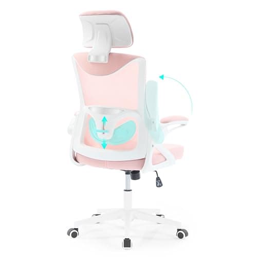Fizzin Ergonomic Office Chair,Ergonomic Desk Chair with Headrest Mesh Computer Chair with High Back Adjustable Lumbar Support, Rolling Swivel Chairs with Wheel Armrests for Home Office(Pink) 7