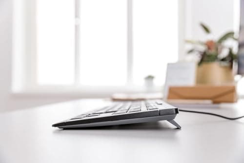 Cherry Stream Keyboard TKL, Wired Keyboard Without Number Pad, Whisper Quiet Keys, Unique Typing Feel, Slim Design, SX Scissor Switches, QWERTY, Black 5