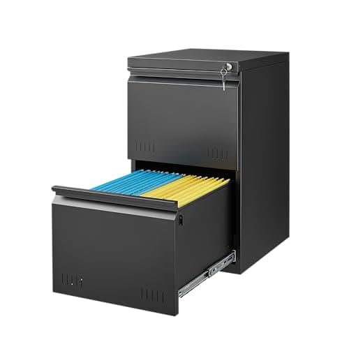 Guizeeopo 2 Drawer File Cabinet with Lock, Vertical File Cabinets for Home Office, Printer Stand, Heavy Duty Steel Office Storage Cabinet for Letter/Legal/A4, Assembly Required(Black)
