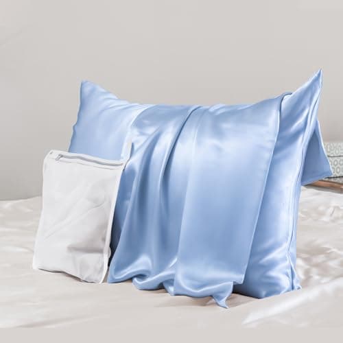 PROMEED Real 23 Momme 100% Silk Pillowcase for Hair and Skin, Both Sides Cooling Premium Grade 6A+ Mulberry Silk Pillow Case with Zipper, 1pc (Standard 20"x26", Light Blue)