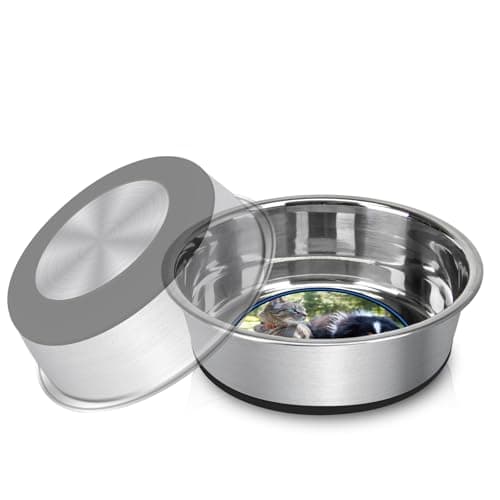 Grehge Steel Anti-Slip Dog Bowls,Non-Slip Stainless Steel Pet Bowl with Foot Mat - Perfect for Mess-Free Mealtime,Quiet Pet Bowls for Cats and Dogs, Dry and Wet Foods,(5.5 inches, 1PCS)
