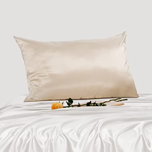 PROMEED Highest Grade 6A+ Mulberry Silk Pillowcase 25 Momme for Hair and Skin, Both Sides Premium Pure Silk, Anti-Allergy, Anti-Frizz (Queen 20"x30", Champagne)