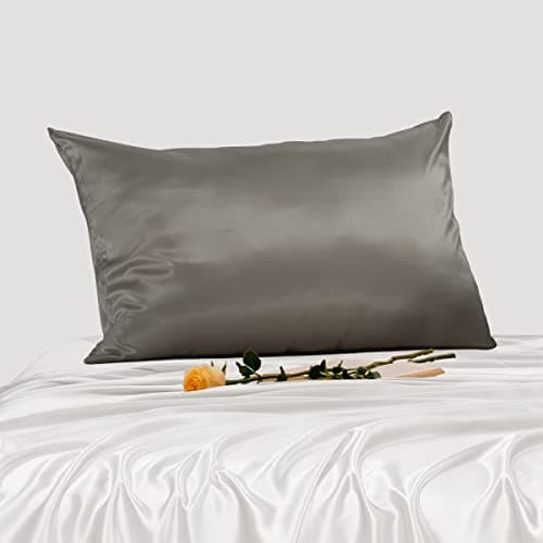PROMEED 100% Grade 6A+ Silk Pillowcase with Zipper for Hair and Skin, Both Sides Premium 25 Momme Mulberry Silk Bed Pillow Case Cover (Standard 20"x26", Grey)