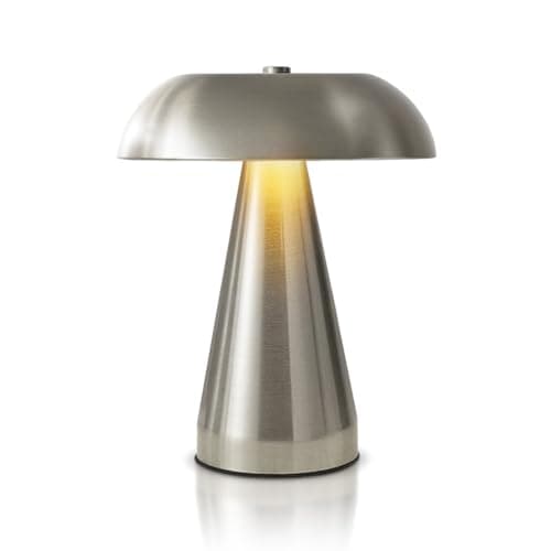 Leroxo Portable LED Desk Lamp, Cordless Metal Table Lamp, 3-Color Touch Control Rechargeable Light, 3-Levels Brightness Room Decor, Bedside & Dining Room Light (Sliver)