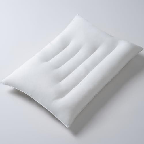 Pozino Flat Thin Pillows for Sleeping - Queen Size 1 Pack Slim Bed Pillows for Side Back Stomach Sleepers,2.5 inch Height Ultra Low Pillows,Down Alternative Filling