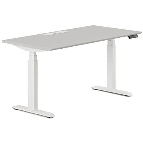 Branch Standing Desk 48 Inches - Adjustable Height Desk with Dual Motors, Three-Stage Lift, Four Memory Presets - White Base and Fog Top