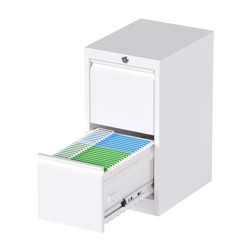 Reemoon Metal File Cabinet with Lock, Drawers Vertical Filing Stoage Cabinets for Home Office, Small and Narrow Filing Cabinet for Hanging Letter/Legal/A4 Folders (White, 2 Drawers) (ZKWJG)