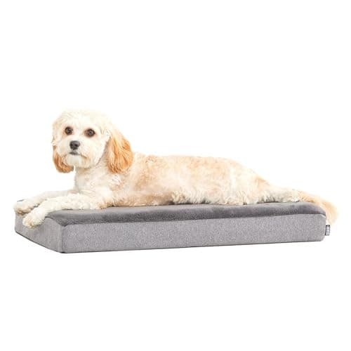Barkbox Orthopedic Dog Bed with Memory Foam, Premium Comfort for Dogs and Puppies, Dog Beds for Joint Relief and Restful Sleep, Durable and Easy to Clean - Grey, Medium