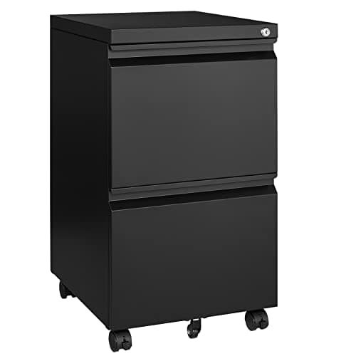 BYNSOE 2 Drawers File Cabinet with Lock Metal Vertical File Cabient with Wheels Mobile File Cabinet for Office Home Legal/Letter/a4 Size Fully Assembled