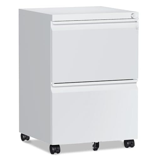 RAVIGIN 2 Drawer File Cabinet，Mobile Filing Cabinet with Lock and Wheels，Fully Assembled Metal Under Desk File Cabinets for A4/Letter/Legal Size（White