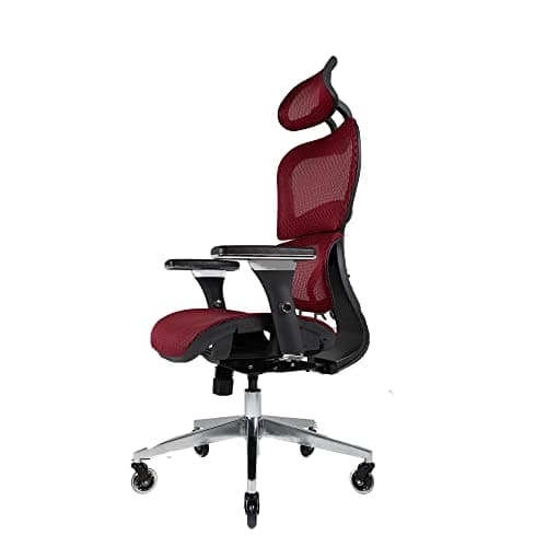 Nouhaus Ergo3D Ergonomic Office Chair Lumbar Support Mesh Office Chair with 4D Adjustable Armrest, Adjustable Headrest and Wheels, Mesh High Back Home Office Desk Chairs(Burgundy)