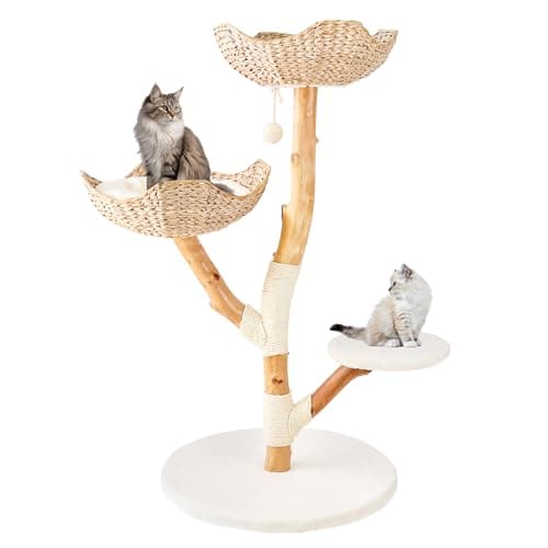 Real Wood Modern Cat Tree Tower for Indoor Cats Large Adult, Wooden Kitty Climbing Tower with Scratching Post and Bed, Boho Aesthetic Luxury Pet Furniture by Rio & Roxy