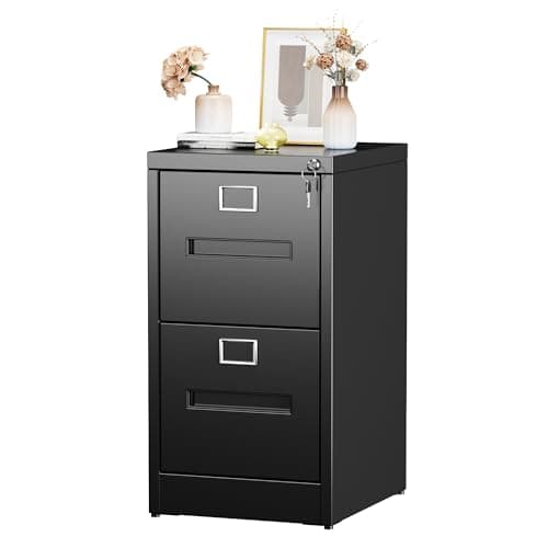 GangMei 2 Drawer Metal Vertical File Cabinet with Lock, Narrow Filing Cabinet with Hanging Letter/Legal/A4 Folders for Home, Office, Assembly Required, Black, 2 Drawers