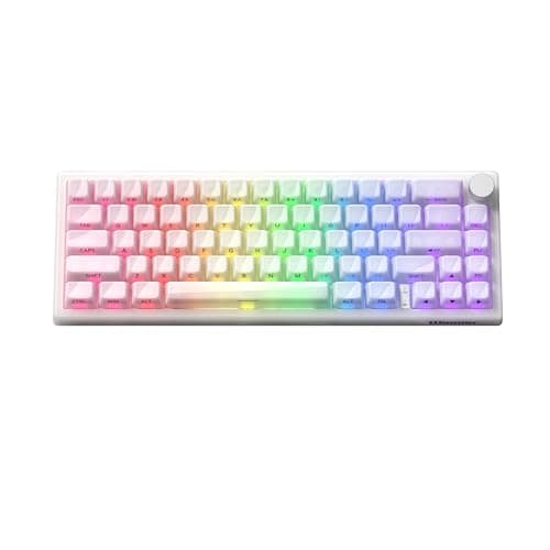 Womier Q61 V2 60 Percent Wireless Keyboard, Creamy Mechanical Gaming Keyboard, Bluetooth/2.4GHz/USB-C Jelly White Key Board Hot Swappable RGB Backlit for Windows/Mac/PC, POM Switches