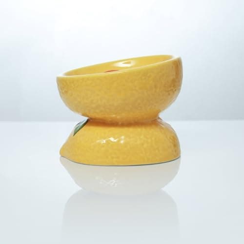 LINSHANMIN Elevated Cat Bowl, Ceramic Tilted Cat Food Bowl for Indoor Cats, Shallow Food Dish Whisker Friendly for Adult Cats and Small Medium Dogs (Yellow). 9