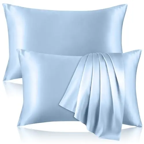 2 Pack 100% Pure Silk Pillowcase for Hair and Skin, Both Sides Mulberry Silk Pillowcases with Hidden Zipper, Cooling Pillowcase 19 Momme, 600 Thread Silk Pillow Cases Standard Size, Light Blue