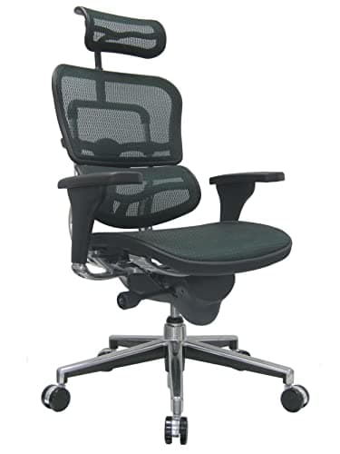 Ergohuman Eurotech Seating High Back Mesh Managers Chair, Green